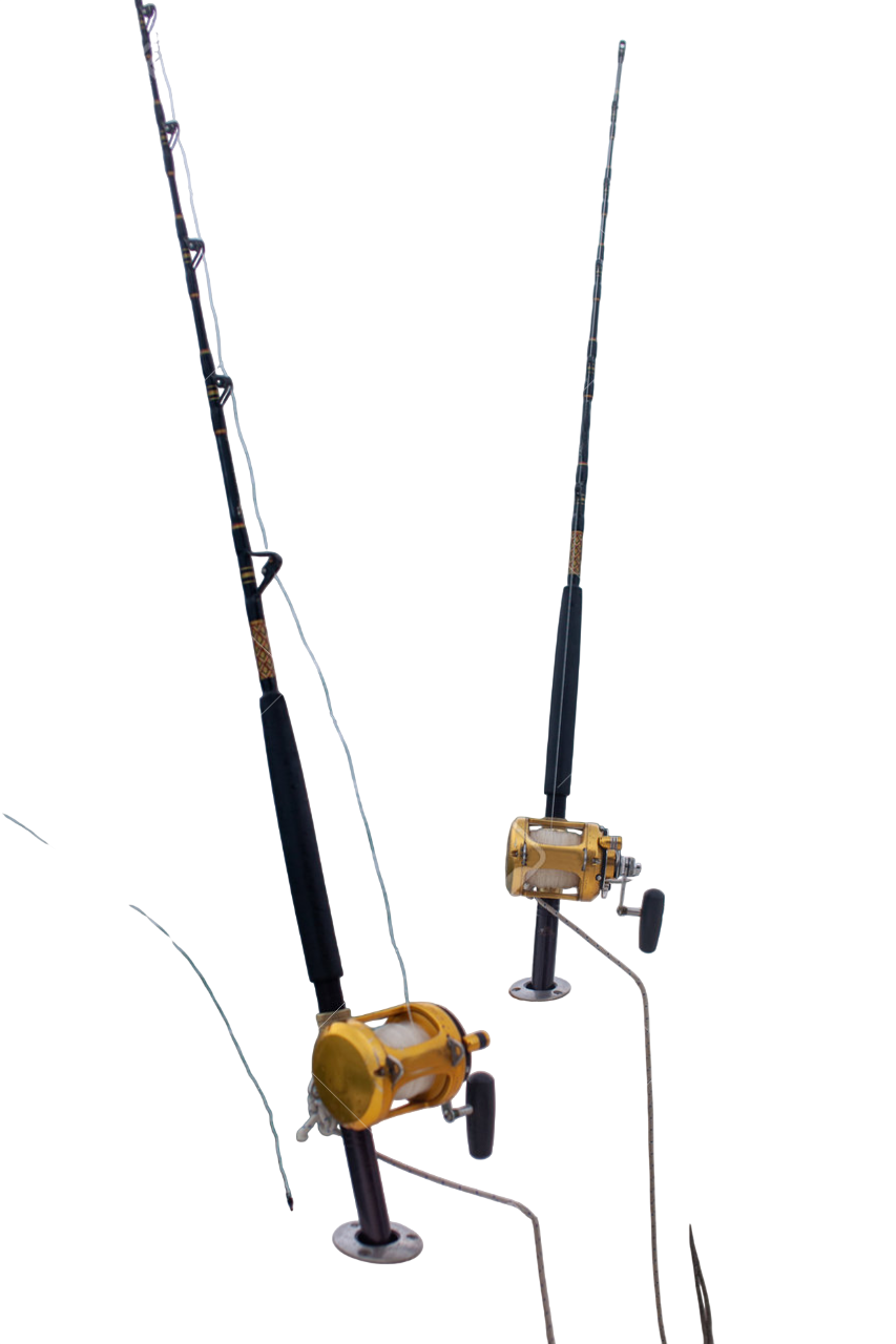 Saltwater Fishing Rod, Terrapesca Marine